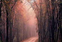 开云体育入口-游泳项目表现亮眼,冲刺冠军:背后的精彩瞬间与未来展望